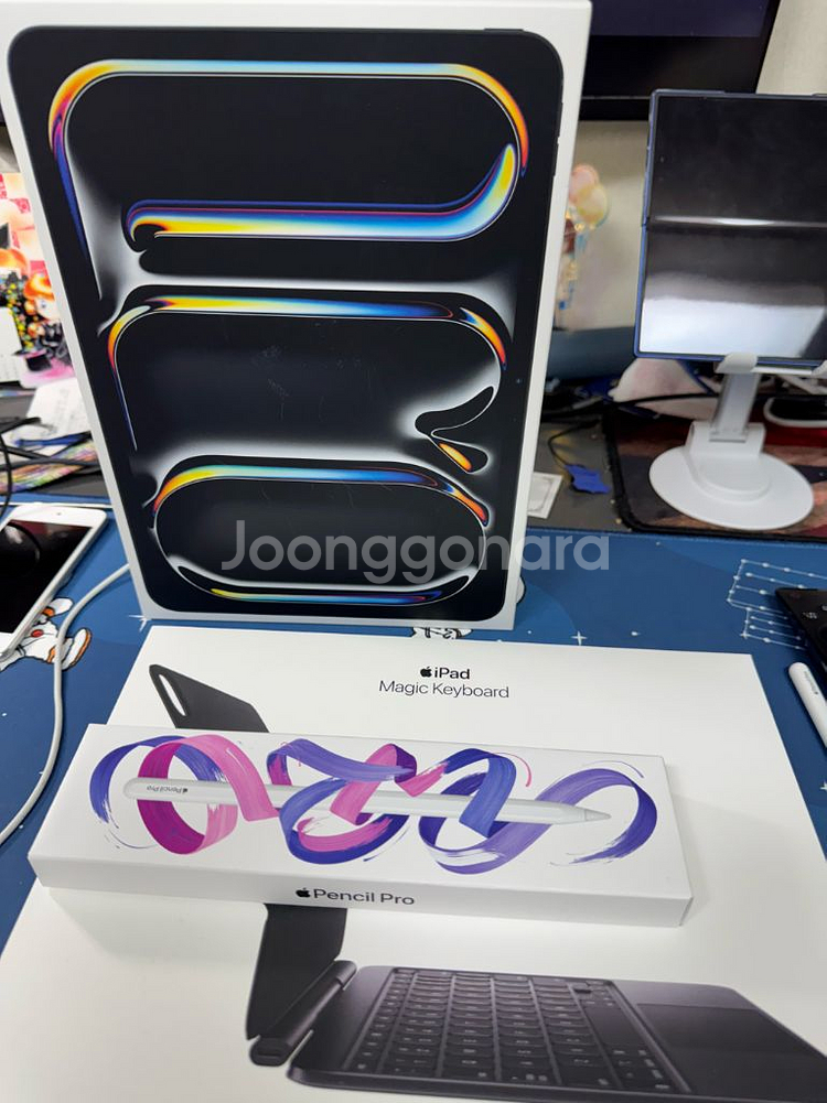 아이패드 프로 11 m4 wifi 256gb--8