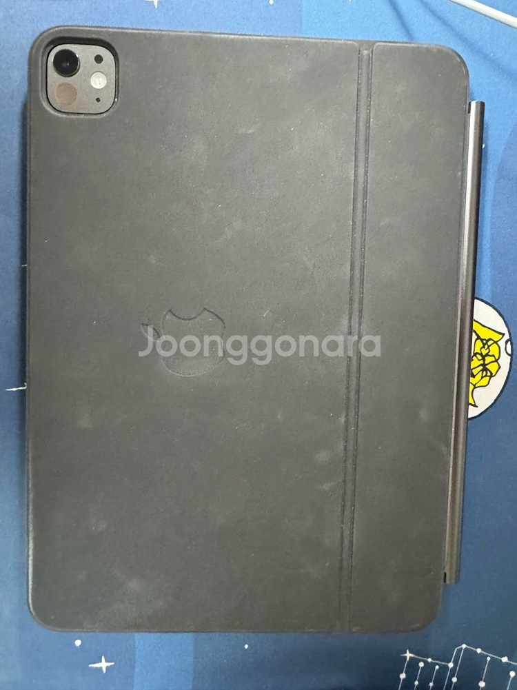 아이패드 프로 11 m4 wifi 256gb--7