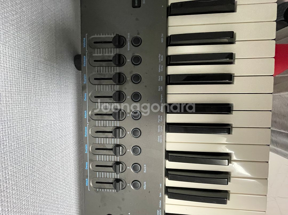 Nektar IMPACT LX88 미디 컨트롤러--3