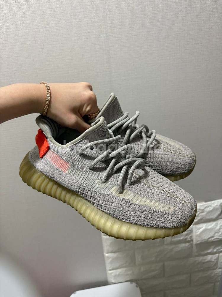 230 아디다스 이지부스트 350 V2 테일라이트--0