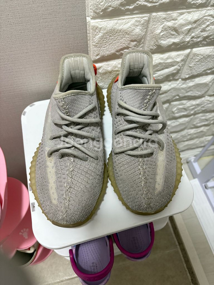 230 아디다스 이지부스트 350 V2 테일라이트--2