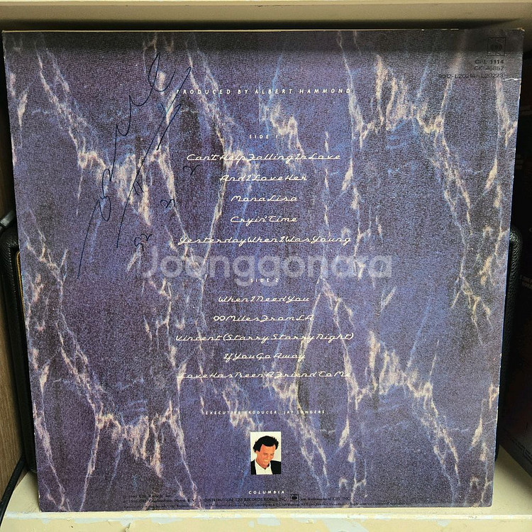 홀리오 이글레시아스 lp판 리메이크 모음 민트급--1