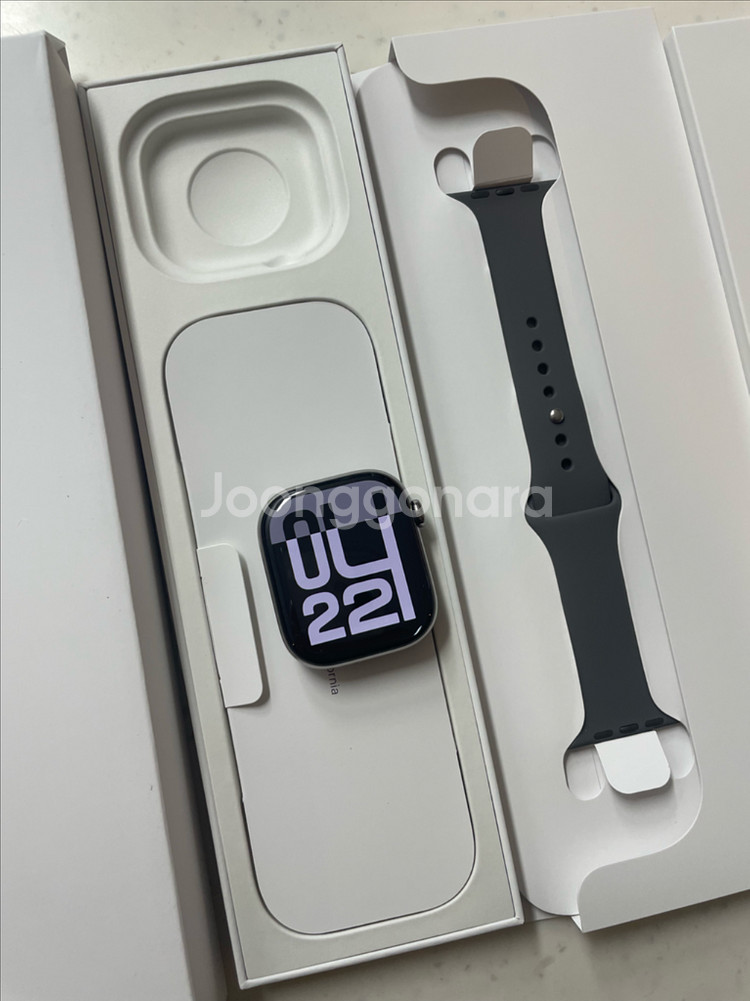 애플워치10티타늄 46mm 내추럴 SSS급--0