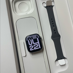애플워치10티타늄 46mm 내추럴 SSS급