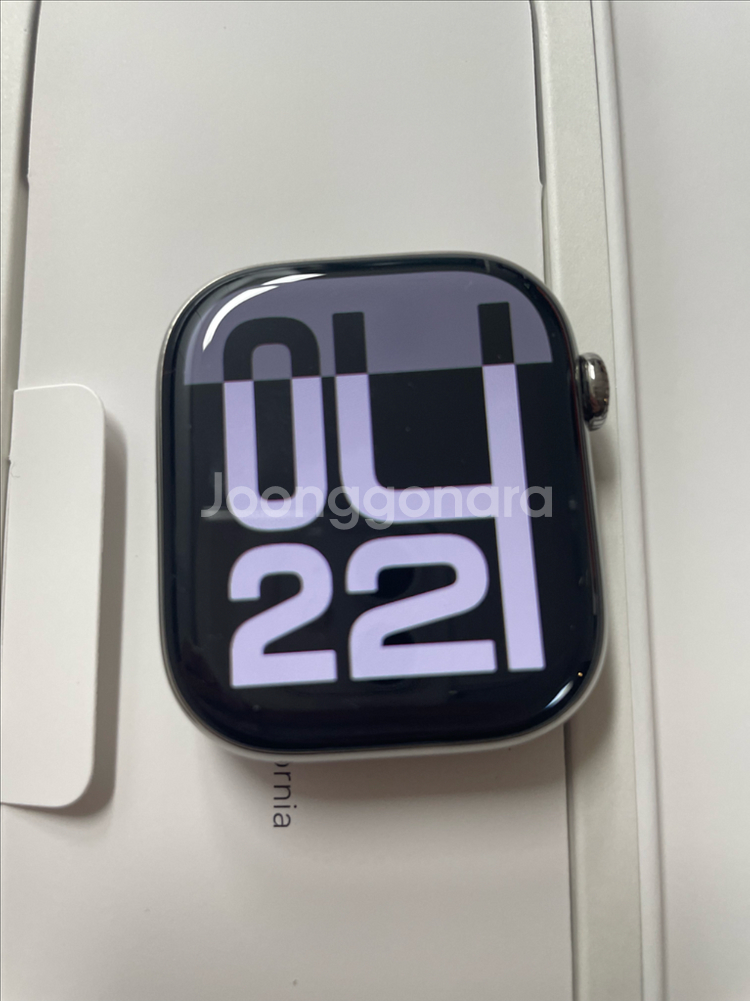 애플워치10티타늄 46mm 내추럴 SSS급--1