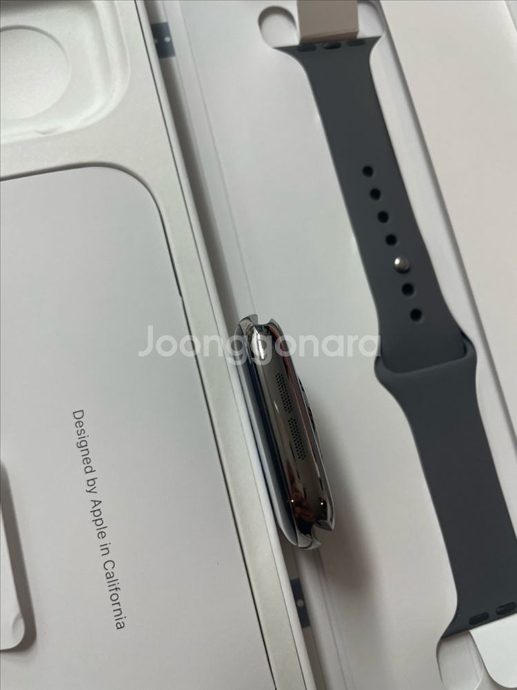 애플워치10티타늄 46mm 내추럴 SSS급--5
