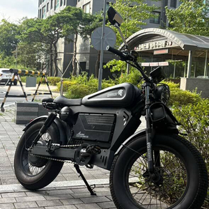 동도 s8 괴물급 자토바이 1500w 48v 60ah