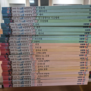프뢰벨 생생다큐 자연관찰 전집 50권(택포)