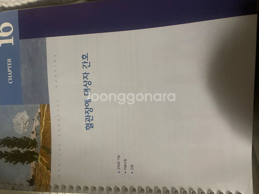 성인간호학 현문사 제8판--1