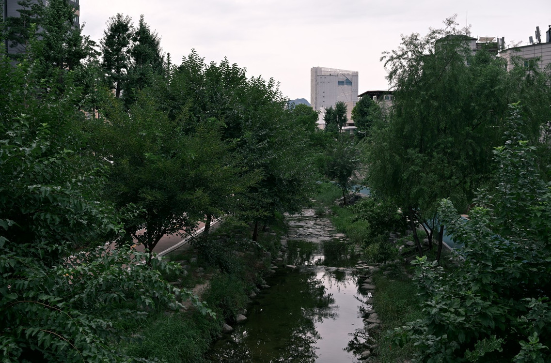 니콘 NIKKOR Z 40mm f/2 SE 렌즈--4