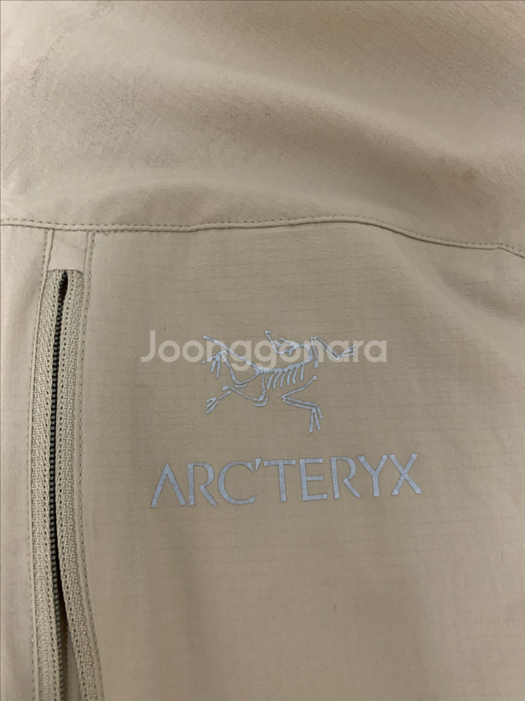 아크테릭스 스쿼미시--3