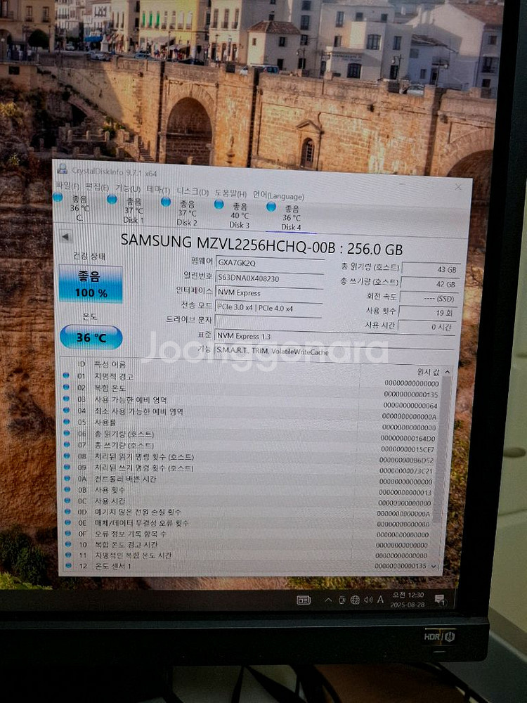 컴퓨터 저장장치 삼성 PM9A1 SSD 256GB--1