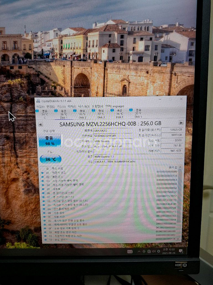 컴퓨터 저장장치 삼성 PM9A1 SSD 256GB--9