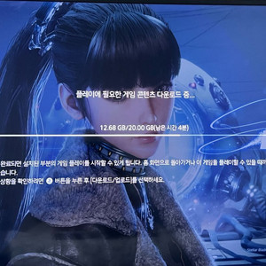 스텔라블레이드 니케 홍련 코드 판매합니다