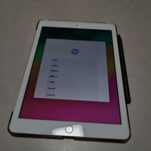 아이패드 6세대+짭플펜슬 팝니다