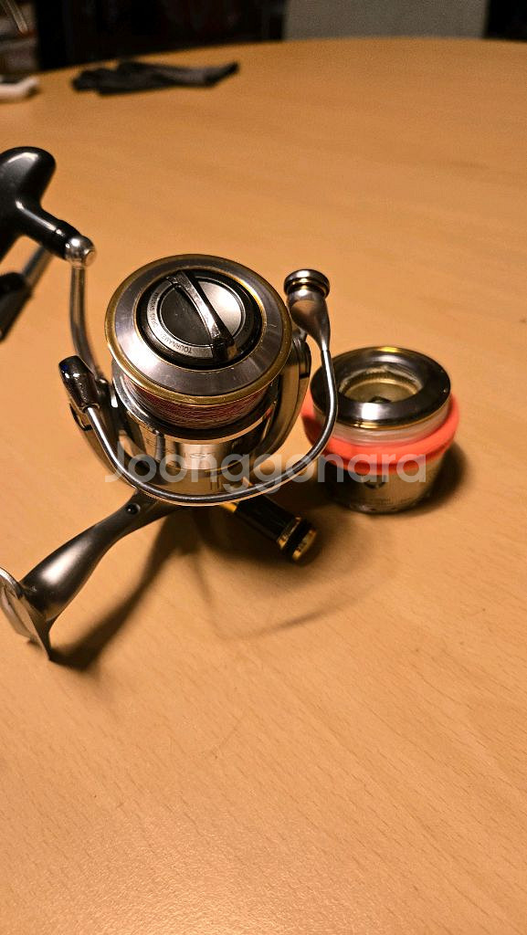 이그지스트2508--1