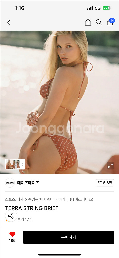데이즈데이즈 테라 비키니 새 상품--0