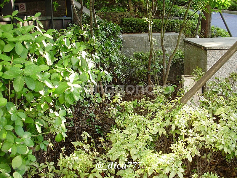 올림푸스 FE-330 디카 풀박스--8