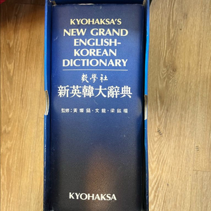 신영한대사전