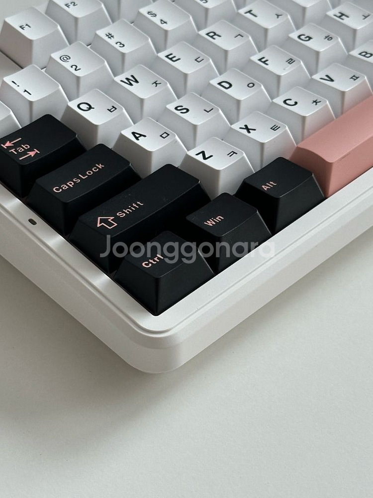 독거미 F87 유무선 + LEOBOG 저소음솜사탕축--3
