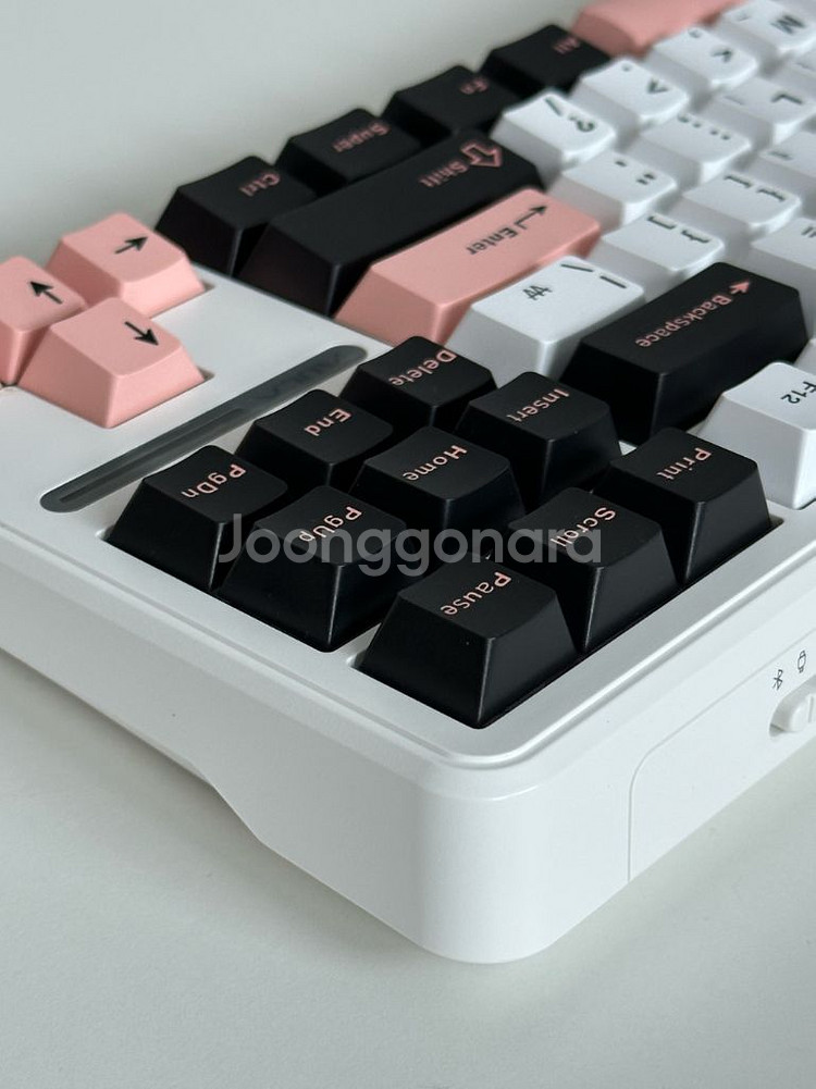 독거미 F87 유무선 + LEOBOG 저소음솜사탕축--6