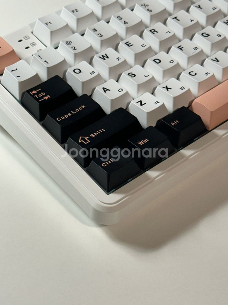 독거미 F108 유무선 + KTT 저소음바다축--3