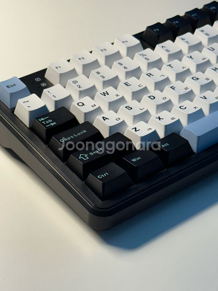 독거미 F108 유무선 + LEOBOG 저소음솜사탕축--0