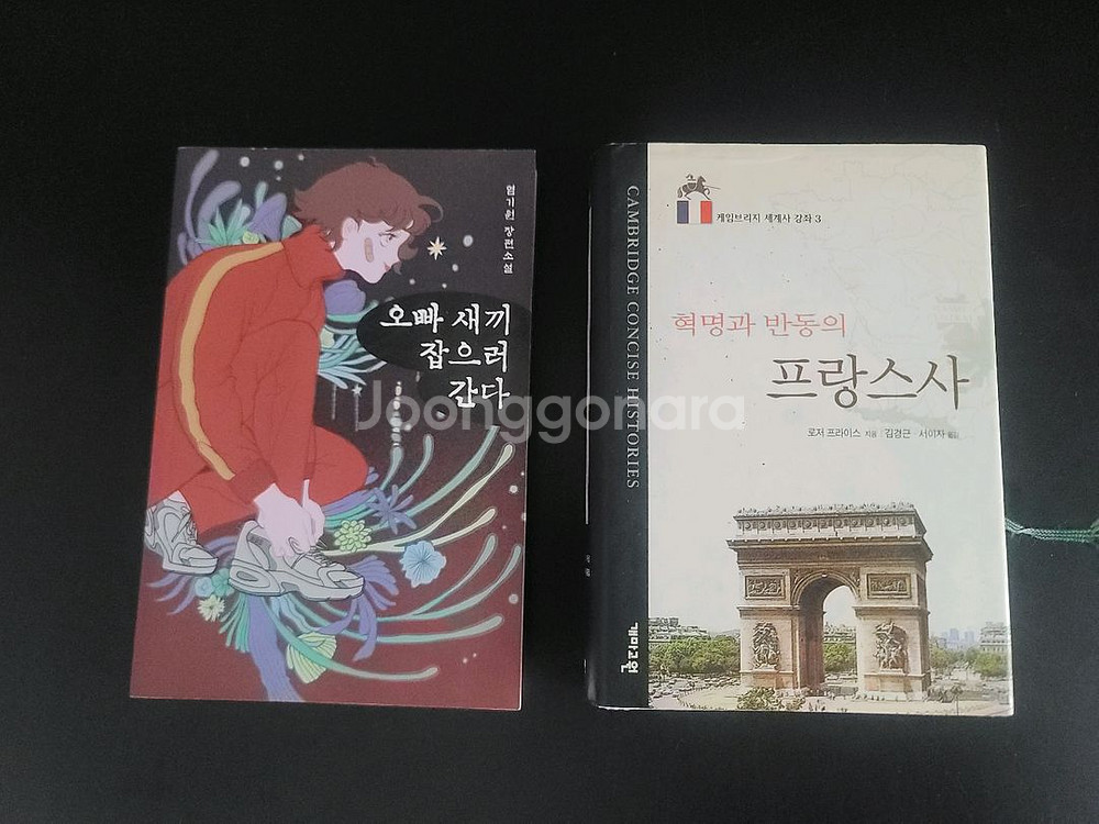 소설책 (3천원/권)--1