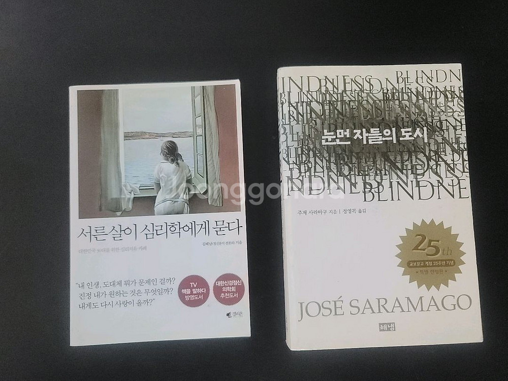 소설책 (3천원/권)--2