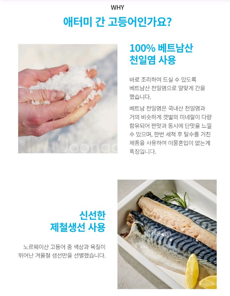 애터미 간고등어--4
