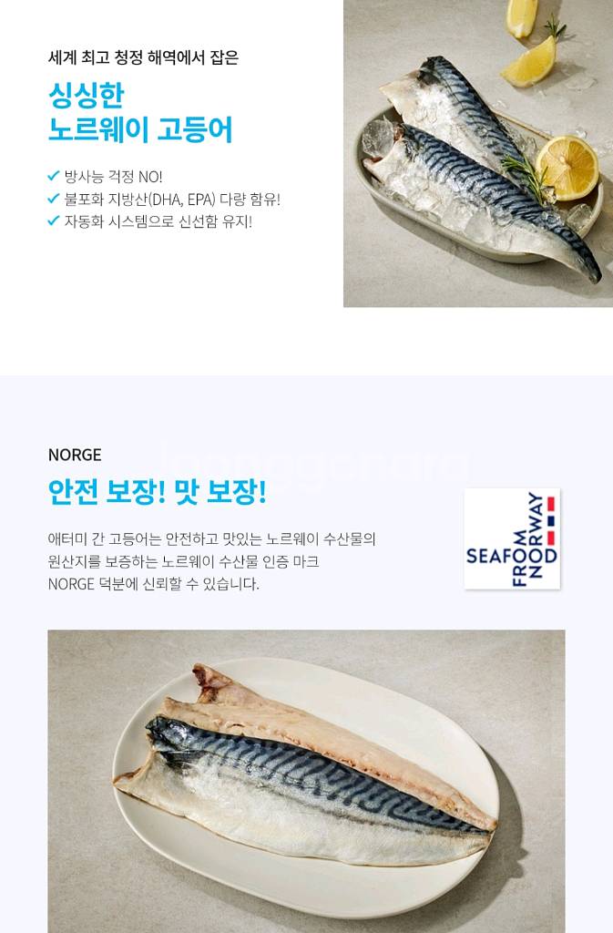 애터미 간고등어--1
