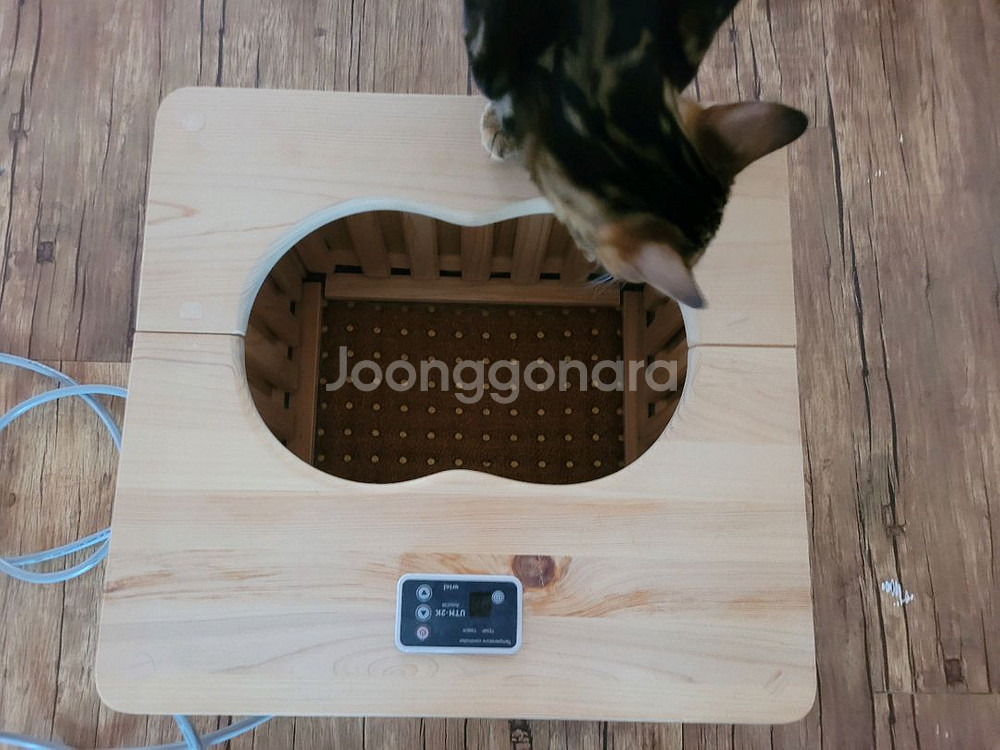 족욕기(편백아트)--0