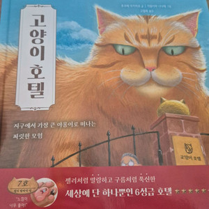 고양이 호텔