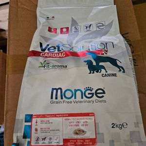 몬지 카디악 강아지 2kg