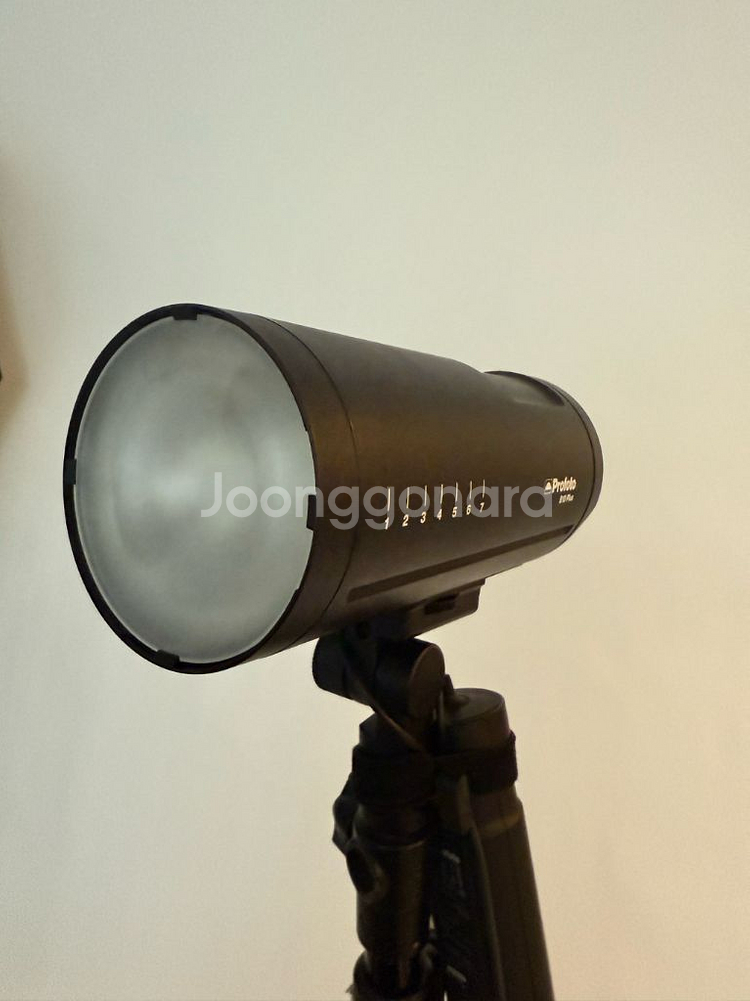 프로포토 profoto b10 plus--1