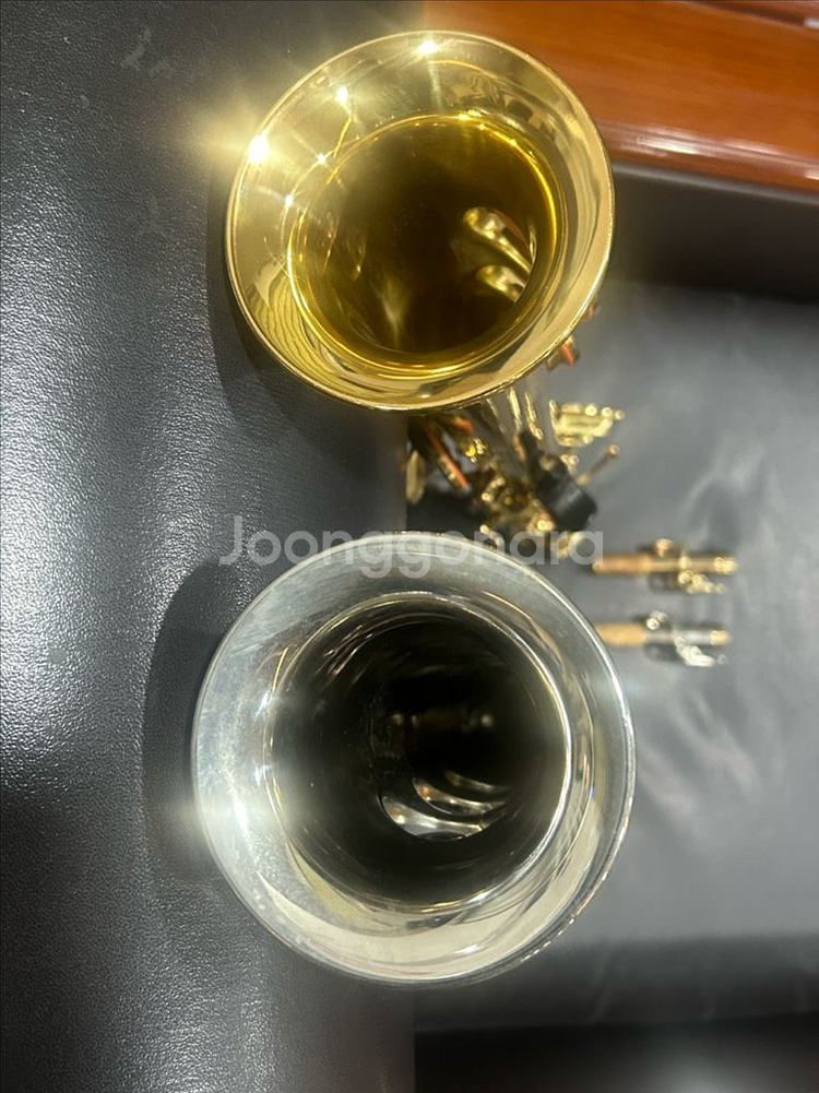 소프라노 색소폰--5