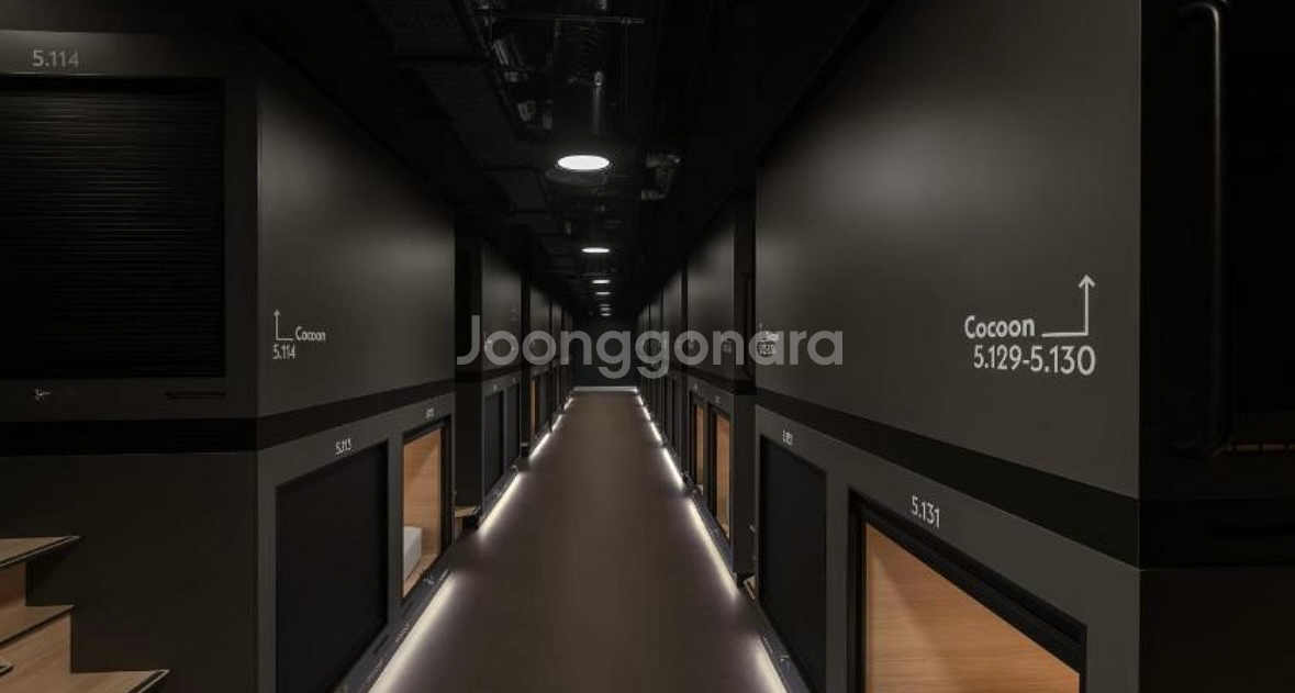 영국 런던 Zed well 호스텔(게스트하우스)--4