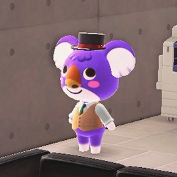 profile-image
