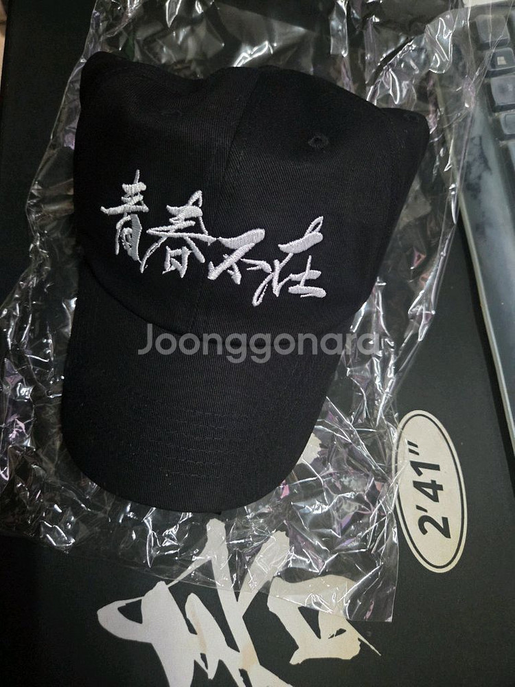 단군 청춘부재 한정판 모자--1