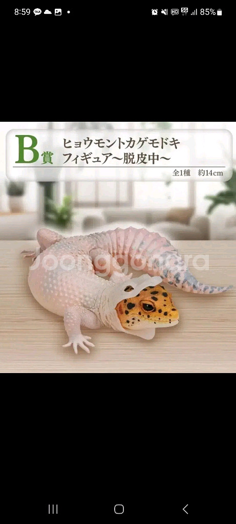 구매)) 파충류 제일복권 b상 구매합니다--0