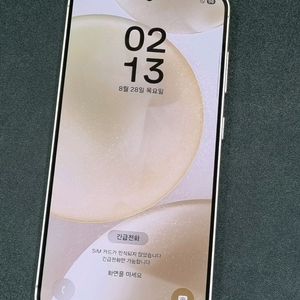 갤럭시S24 256GB 엠버 옐로우 S921N