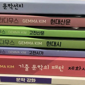 김젬마 대성마이맥