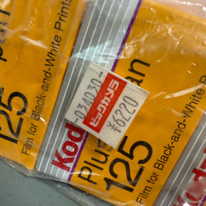 Kodak Plus-X Pan 125 흑백 필름