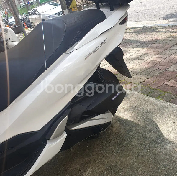 PCX125 2021년식--2