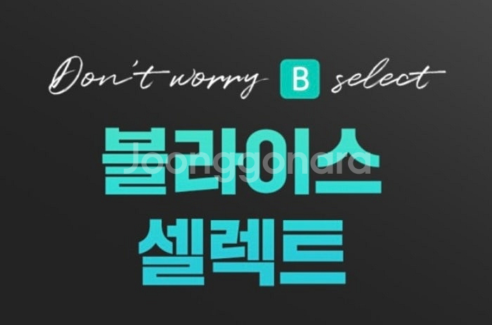 블라이스셀렉트 이용권 판매--0