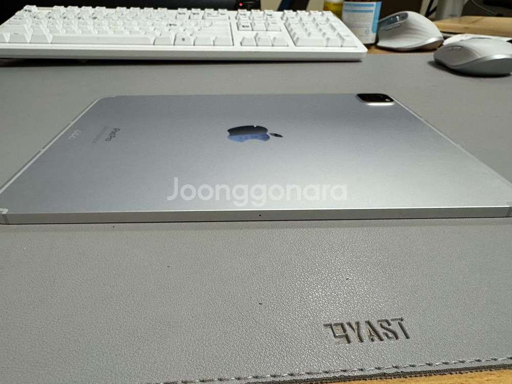 iPad Pro 11인치(M2) 128GB 셀룰러--5