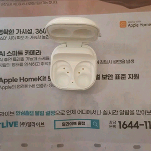 버즈 FE 본체