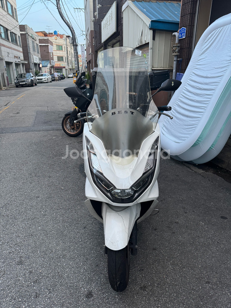 pcx125 2024년식--0