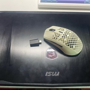 msi 게이밍 노트북(i7-7700 / 1060 6G)