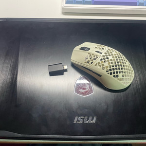 msi 게이밍 노트북(i7-7700 / 1060 6G)